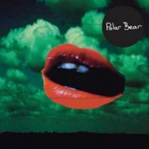 Polar Bear - Polar Bear Polar Bear - Polar Bear